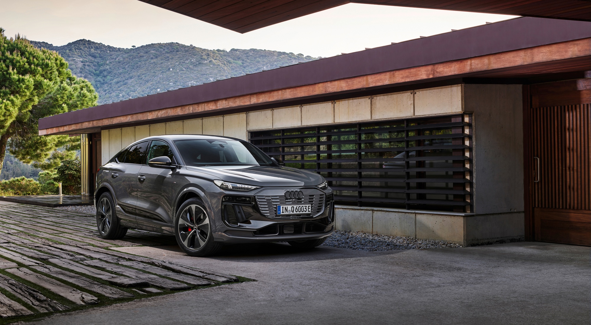 Q6 e-tron